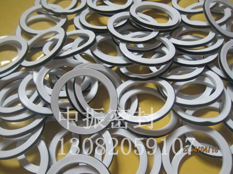 ���(y��ng)�ķ��������z�|Ƭ�S��